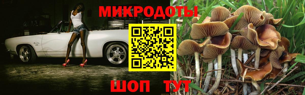 Псилоцибиновые грибы прущие грибы  Вход с VPN  Псилоцибиновые грибы мицелий  Урус-Мартан 
