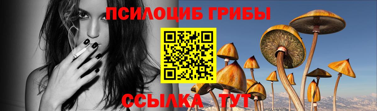 Галлюциногенные грибы Psilocybe Урус-Мартан